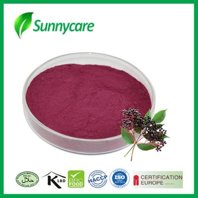 عصير عصير الباردة مسحوق Sambucus nigra الصبغة الطبيعية للأغذية والمشروبات