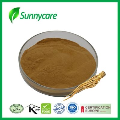 مستخلص جذور الدونغ كواي مسحوق Angelica sinensis مساعدة الحيض الصناعة الدوائية
