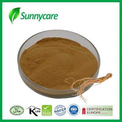 استخراج الدونغ كوي مسحوق Angelica sinensis التوازن الهرموني المكملات الغذائية