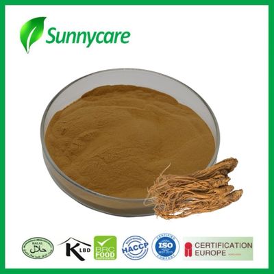 استخراج الدونغ كوي Angelica sinensis تعزيز المناعة الأطعمة الوظيفية مشروبات الطاقة