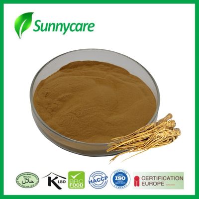 استخراج الدونغ كوي مسحوق Angelica sinensis صحة الكبد والكلى العلاجات العشبية